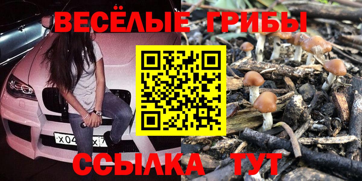 Псилоцибиновые грибы прущие грибы Бугульма