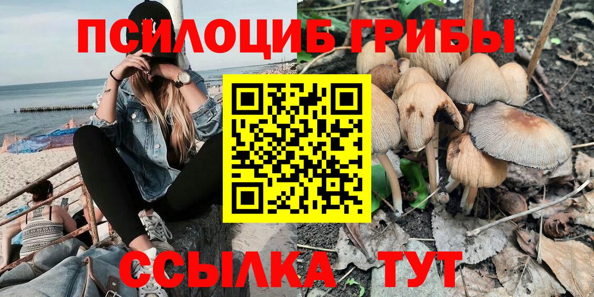 Псилоцибиновые грибы GOLDEN TEACHER  Вход с VPN  Бугульма  Галлюциногенные грибы Magic Shrooms 